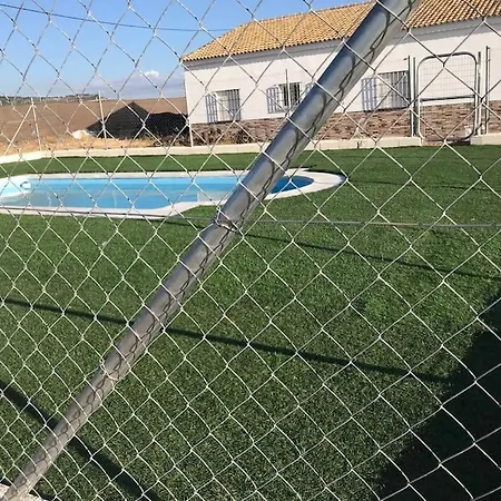 La Aceitera *